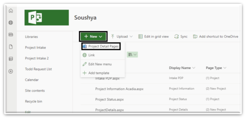 Figure 3: Click ‘New’ then select ‘Project Detail Pages’